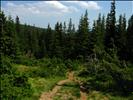 2008 08 15 - 2626 - Hoverla